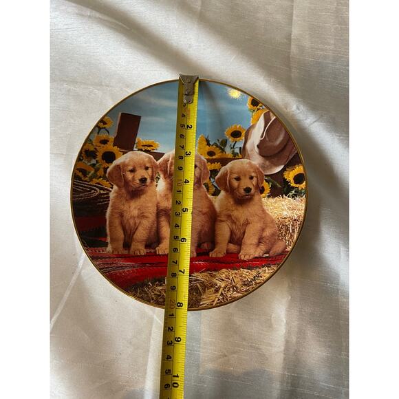 Good as gold Plate - Picture 2 of 3